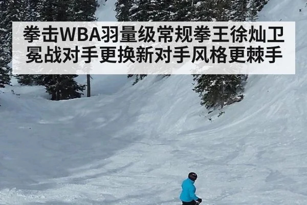 拳击WBA羽量级常规拳王徐灿卫冕战对手更换新对手风格更棘手