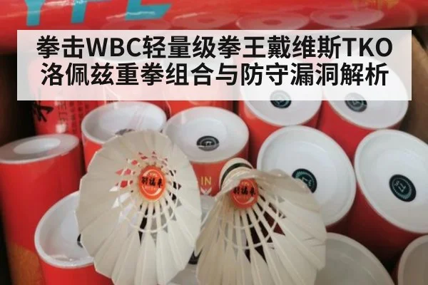 拳击WBC轻量级拳王戴维斯TKO洛佩兹重拳组合与防守漏洞解析